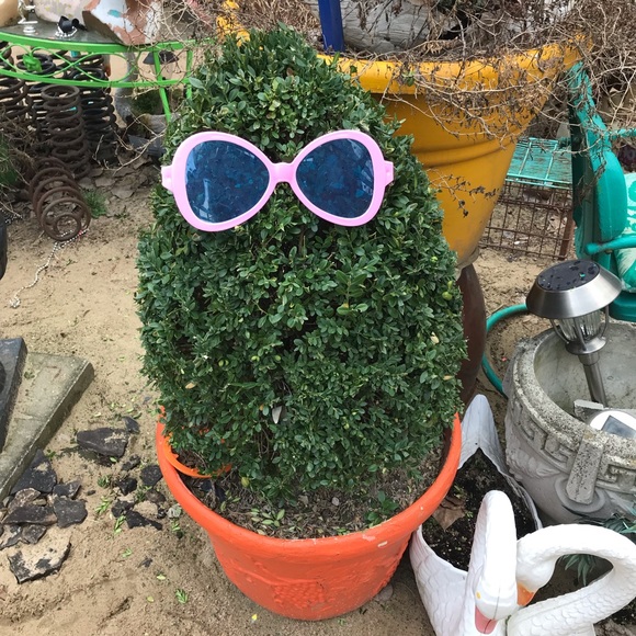 Meet your Posher, Ines - Picture 1 of 1